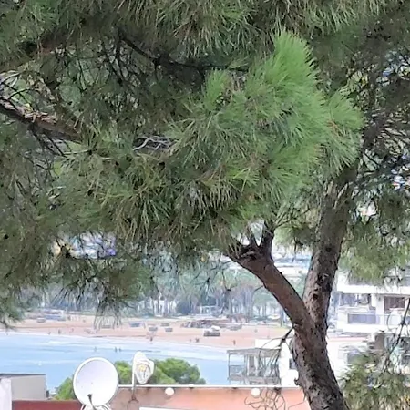 Torre Alta